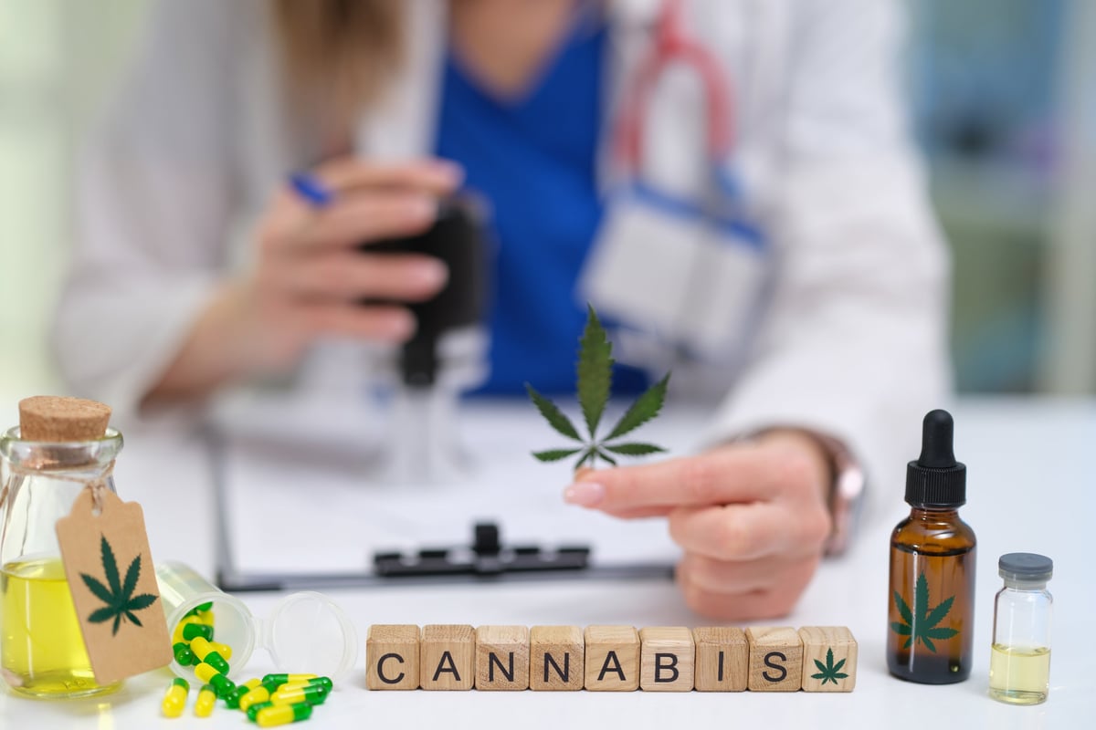 A female scientist wearing face mask and gloves examining the cannabis plant at the indoor farm.